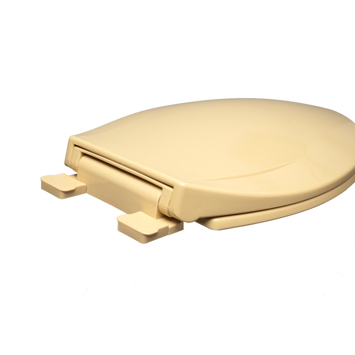 Bath Décor Elongated Toilet Seat & Reviews Wayfair